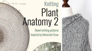 This is a knitting help page where visitors can ask knitting questions, share knitting tips and tricks or share stitches keep increasing a new knitter here and i am trying to learn the long raindrop stitch. Let S Knit Botany Knitting Plant Anatomy 2 Knitting Today