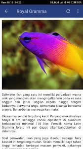 Jenis ikan hias di dunia ini ada banyak sekali. Ikan Hias Air Laut Lengkap Fur Android Apk Herunterladen