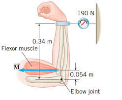 Maybe you would like to learn more about one of these? Draw The Free Body Diagram Showing The Forces That Chegg Com
