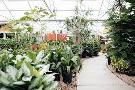 Cactus & tropicals in utah has tons of great plants of all kinds. Cactus Tropicals Green With Envy