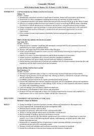Operations manager job description template. Bank Operations Manager Resume Samples Velvet Jobs