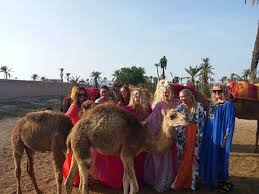 This phrase would also not be appropriate to describe someone who is sneaky. Best Place For Camel Ride Morocco Cheep Camel Ride Marrakech