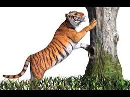 How To Get Google 3d Animals Tiger View In 3d Google Complete List O Animals Tigre Tiger