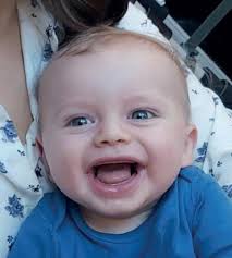 Follow Up! 2023 by Harrow Association