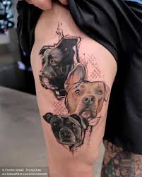 Tattoo artist john kural presses the buzzing needle to his ribcage, and coolio's gangsta's paradise. Tattoo Tagged With Animal Big Celebrity Corinaweikl Dave Bautista Dog Facebook Graphic Pet Pit Bull Tattooed Actors Tattooed American Male Celebrities Tattooed Male Celebrities Thigh Twitter Inked App Com