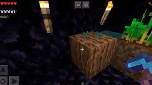 We are a small, growing community of players. 30 Best Minecraft Modded Servers In 2021