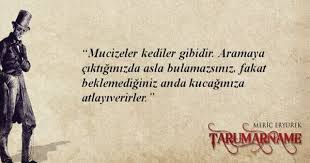 Meric Eryurek Alintilar Anlamli Alintilar Kitap
