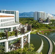 Image result for Oldenlandia verrucitesta