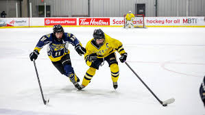 Whicker: Young Kings Are The Rulers Of 12-Year-Old Hockey – Orange County  Register