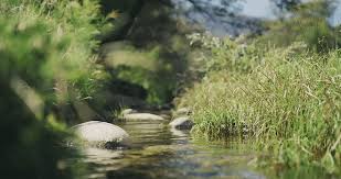 Check out the best funny, sexy, celebrity, reaction gifs and more. Best Nature Reserve Gifs Gfycat