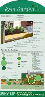 Photos Of Rain Gardens Rain Garden Rain Garden Rain Water Collection Rain Water Collection System