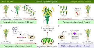 Do you know where biotech crops are grown in the world? Illustration Of Comparison Of Plant Breeding And Mutagenesis Methods Download Scientific Diagram