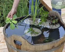 Weitere ideen zu miniteich, miniteich anlegen, pflanzen. Miniteich Anlegen Mein Schoner Garten