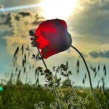 Fotografi Gonderen Fatih Cakir Fotograf