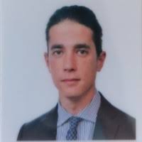 4200+ "Ancona" profiles