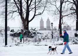 It's a great time for foodies and bargain hunters who don't mind the cold updated 12/12/19 as the throngs of hol. How Everyone But The Weather Channel Botched The Nyc Blizzard Forecast