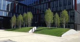 Bruns Pflanzen Property Greening Landschaftsdesign Landschaftsplanung