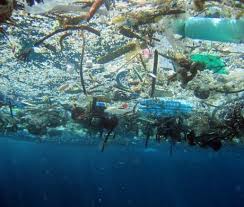 Uma data que serve para diversas reflexões. Preservar Oceanos E Fundamental Para A Manutencao Da Vida
