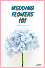 We did not find results for: Wedding Flowers 101 Everything You Need To Know Apw