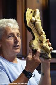 Mid-South Horse Review