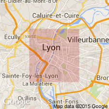 Les Etablissements A Lyon Le Blog De Gilles Pudlowski Les Pieds Dans Le Plat Lyon Caluire Et Cuire Repas Gastronomique