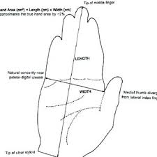 Pdf A Study Of Correlation Between Hand Length And Foot