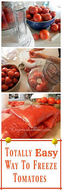 The Totally Easy Way To Freeze Diced Or Pureed Tomatoes Raw Food Recipes Food Processor Recipes Freezing Tomatoes