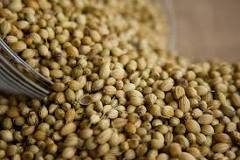 coriander benefits के लिए इमेज परिणाम