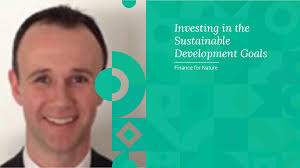 Investing in the Sustainable Development Goals