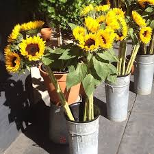Flowers delivery in san francisco. Fiori Flowers Marina District 94 Visitors
