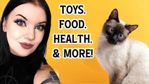 Minimalism with pets