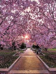 Light At The End Of The Tunnel Beautiful Places Beautiful Nature The Great Outdoors