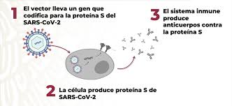 De tener éxito, la vacuna patria estaría lista para diciembre próximo y estaría generando ahorros de más de 800 por. Tiqteqrypv8qnm