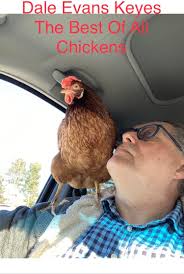 Best Friends Pet Service LLC