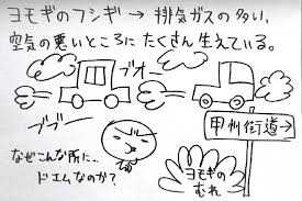 年収90万円なので東京で 野草採り に挑戦してみたら得るものが多過ぎた 連載 大原扁理のトーキョー知恵の和 5 アーバン ライフ メトロ urban life metro ulm 和 年収 東京