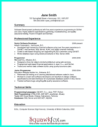 chronological resume sample pdf best