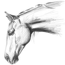 Hand Drawn Horse Portrait Drawing Print Black And White Pencil Sketch Horse Lover Art Unique Gift For Her Scandi Or Country Home Decor Horse Art Drawing Horse Drawings Horses