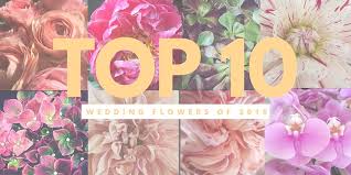 Then, use as a home vase arrangemen. Cafe Au Lait Fabloomosity Blog Fabloomosity Floral Atelier Edmonton Florists