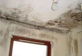 Rutubeti su buharı olarak da tanımlayabiliriz. Evde Rutubetten Kurtulmanin 12 Yolu