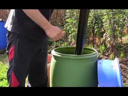 Dilute the comfrey plant food with water by half before you apply to plants. Best Top 3 Ways To Make Comfrey Concentrate Liquid Feed Youtube