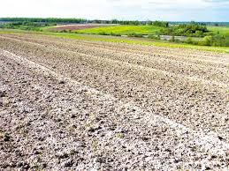 Explorează 80 anunțuri pentru teren agricol de vanzare dambovita la cele mai bune prețuri. AvalansÄƒ De Terenuri Agricole La Vanzare Peste 220 De Hectare De Teren Arabil Au Fost Scoase La Vanzare In Luna August In JudeÅ£ul GalaÅ£i Proprietarii Seceta A Calamitat 100 Cultura Arenda Este