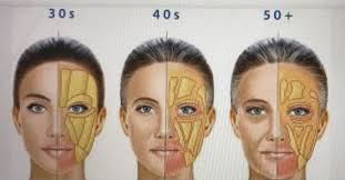 Kari Dodge -Health Coach🌿 (@kari.dodge) • Instagram photos and videos