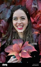 Young ivy leaf hi-res stock photography and images