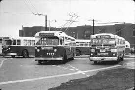 Image result for Brown 1980 Evans Coach Lines