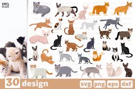 Adventure svg bundle 10 designs mountains and camping svg bundle. 30 Cats Designs Bundle Graphic By Svgocean Creative Fabrica