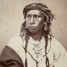 Results for: Science, Medicine & Natural History > Natural History > Birds