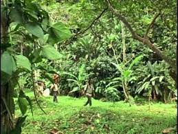 Pin En Cine Catalogo De Peliculas