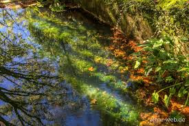 Toutes les activités recherches fréquentes à monchique. Caldas De Monchique Im Wasserreich Der Feen Algar Web De Reisen An S Meer