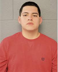 ᐅ Illinois Criminal Records 2009-2025