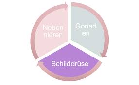 Jede frau hat sie einmal im leben: Wechseljahre Praxis Frauengesundheit De